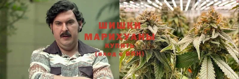 хочу наркоту  Торжок  Шишки марихуана Ganja 